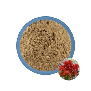 Organic Rhodiola Powder