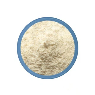 Pumpkin Seed Protein Powder