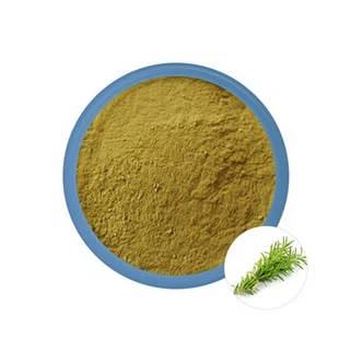 Rosemary Powder Bulk