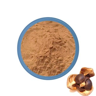 Saponin Powder