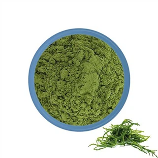 Seaweed Powder