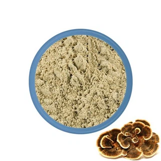 Turkey Tail Mushroom Powder