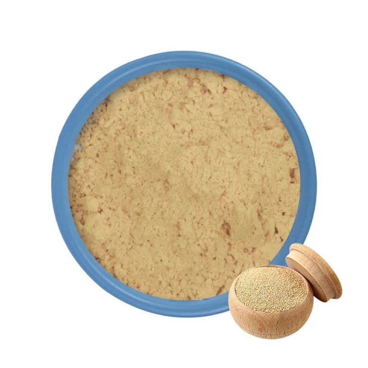 Yeast Extract Powder