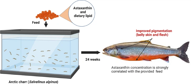 astaxanthin in fish astaxanthin in fish