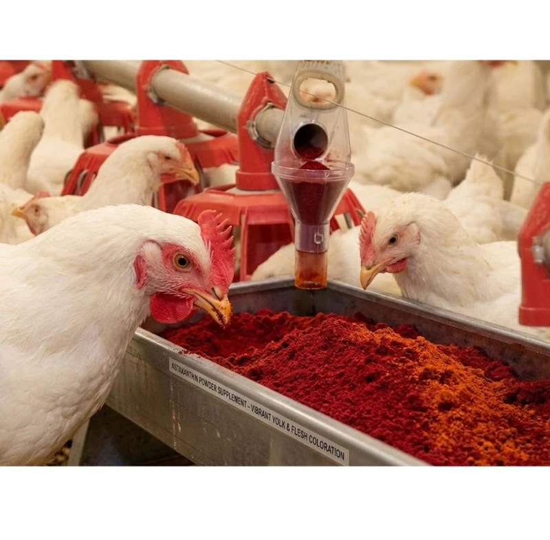 Astaxanthin Powder manufacturer Astaxanthin Powder manufacturer
