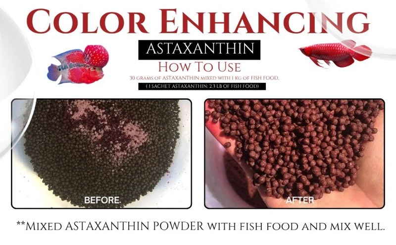 Astaxanthin manufacturer Astaxanthin manufacturer