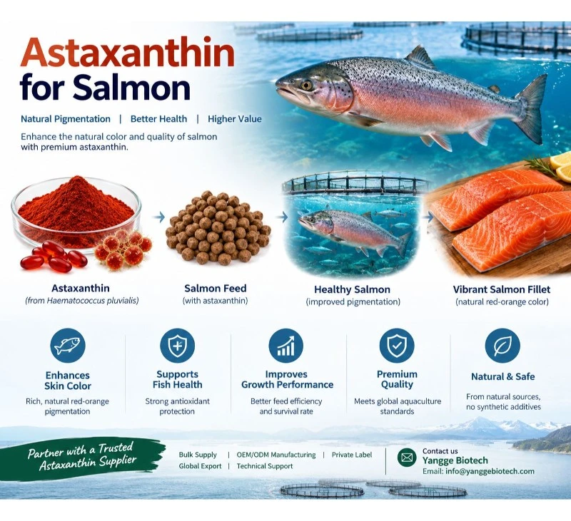 Astaxanthin manufacturer Astaxanthin manufacturer
