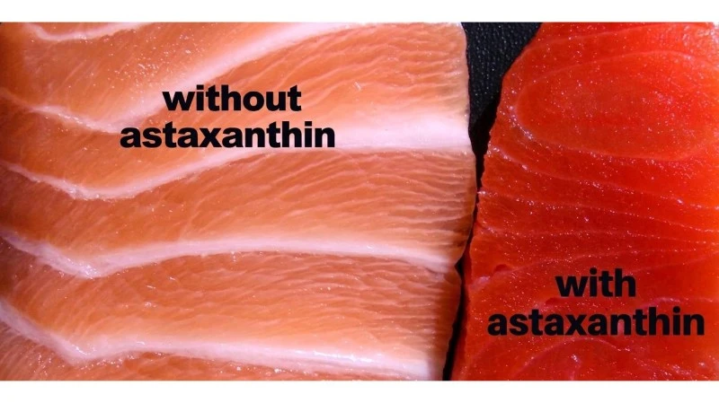 astaxanthin manufacturer astaxanthin manufacturer