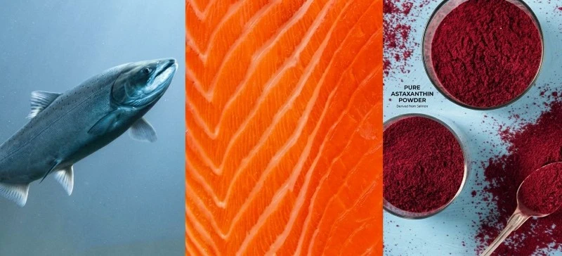 Astaxanthin manufacturer Astaxanthin manufacturer