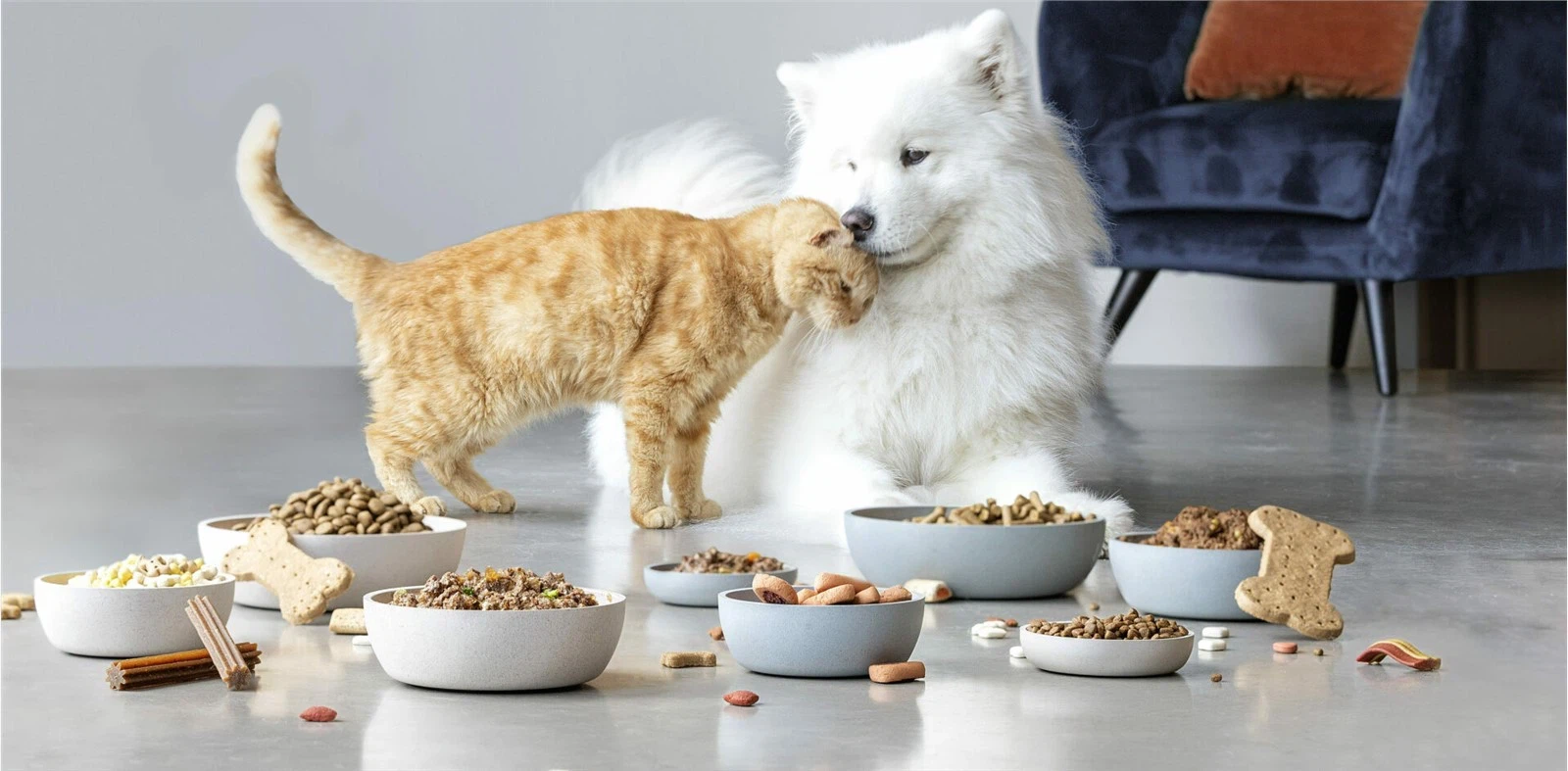 Erythritol For Dogs: What You Need To Know