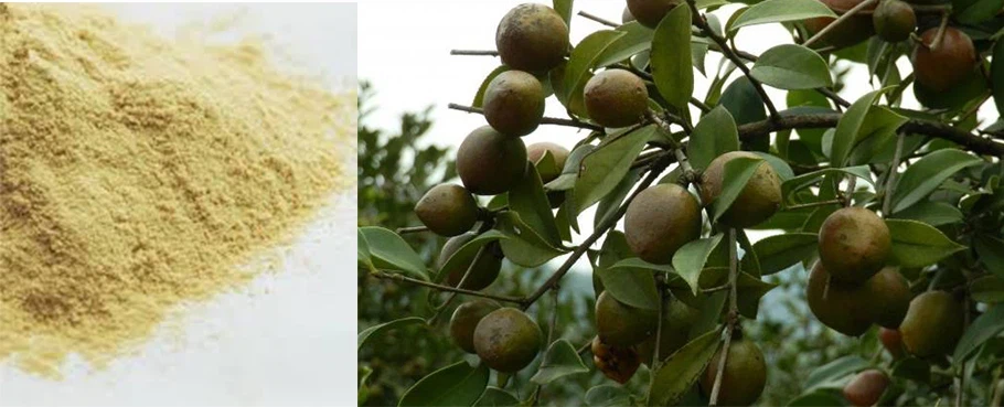 Tea Saponin As A Natural Pesticide-Protecting Plants Without Chemicals