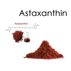 Astaxanthin As A Natural Pigment Enhancer in Fish And Shrimp Farming