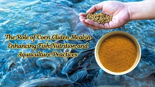 corn gluten meal powder manufacturer corn gluten meal powder manufacturer