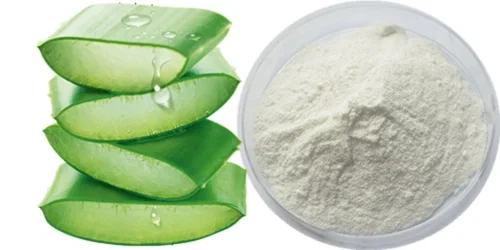 Aloe Vera Powder Manufacturer