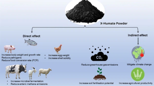 X-Humate powder supplier X-Humate powder supplier