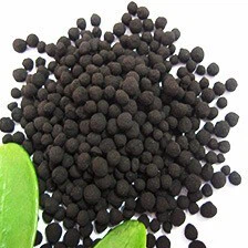 product-224-224