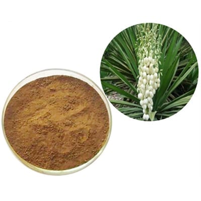 Yucca Extract Powder